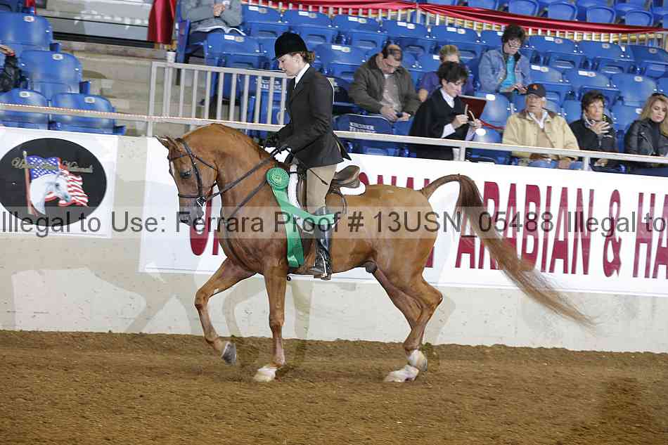 Proof Number 13usn_05488