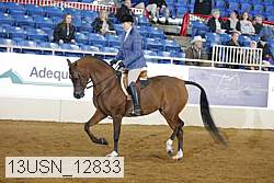 13usn_12833 thumbnail