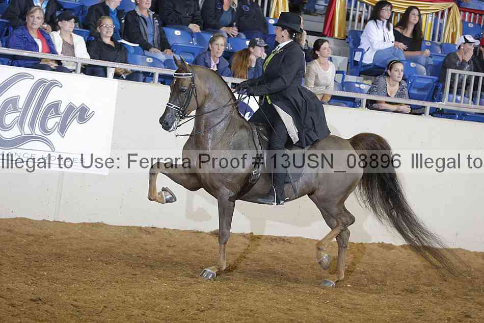 Proof Number 13usn_08896