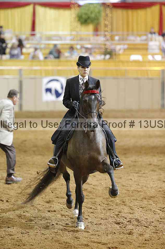 Proof Number 13usn_14498