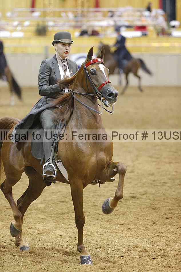 Proof Number 13usn_01698