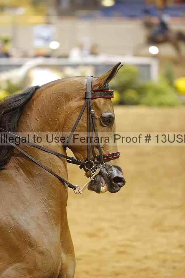 Proof Number 13usn_01711