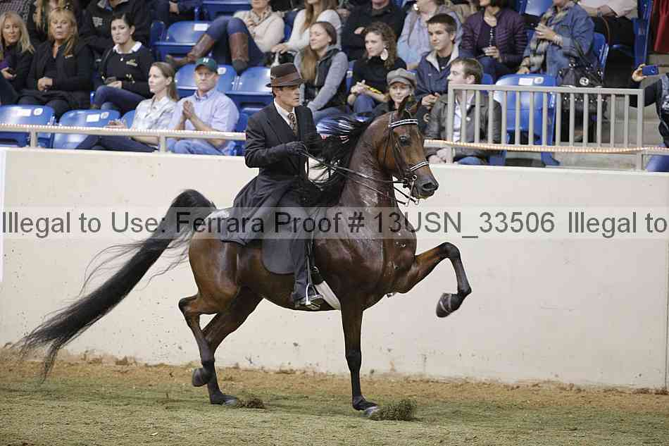 Proof Number 13usn_33506
