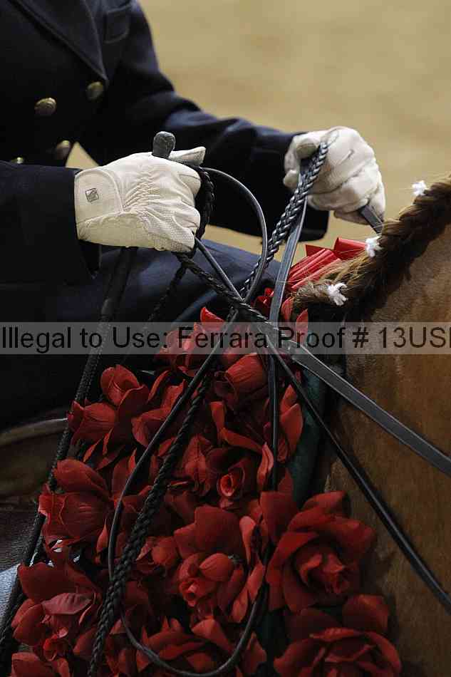 Proof Number 13usn_08785