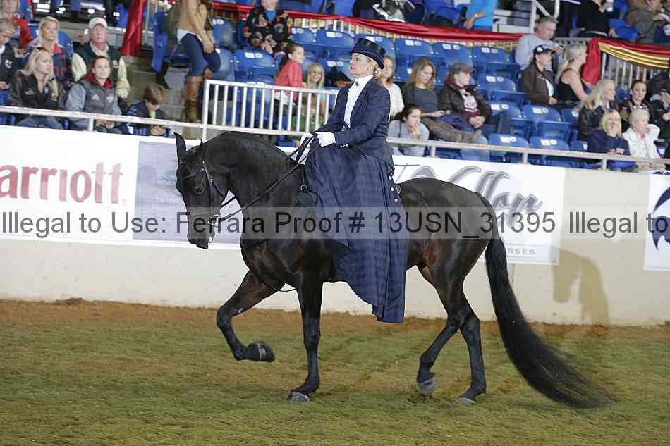 Proof Number 13usn_31395