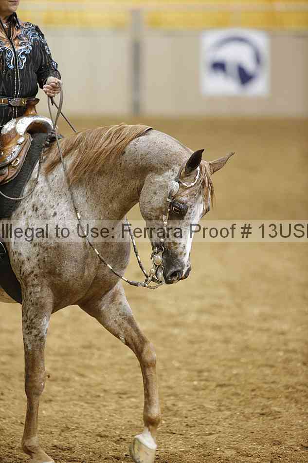 Proof Number 13usn_04164