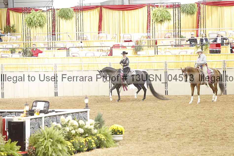 Proof Number 13usn_04513
