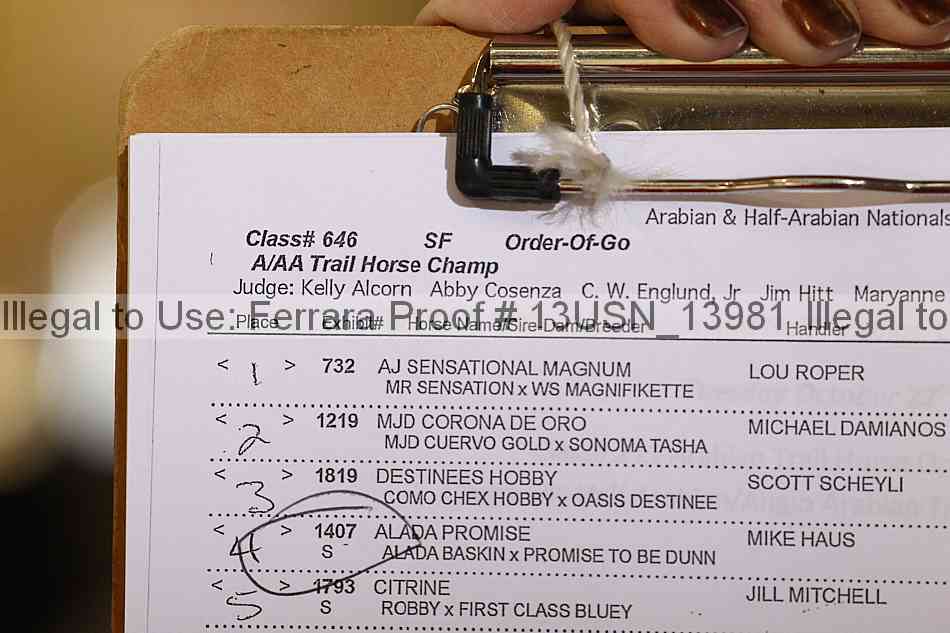 Proof Number 13usn_13981