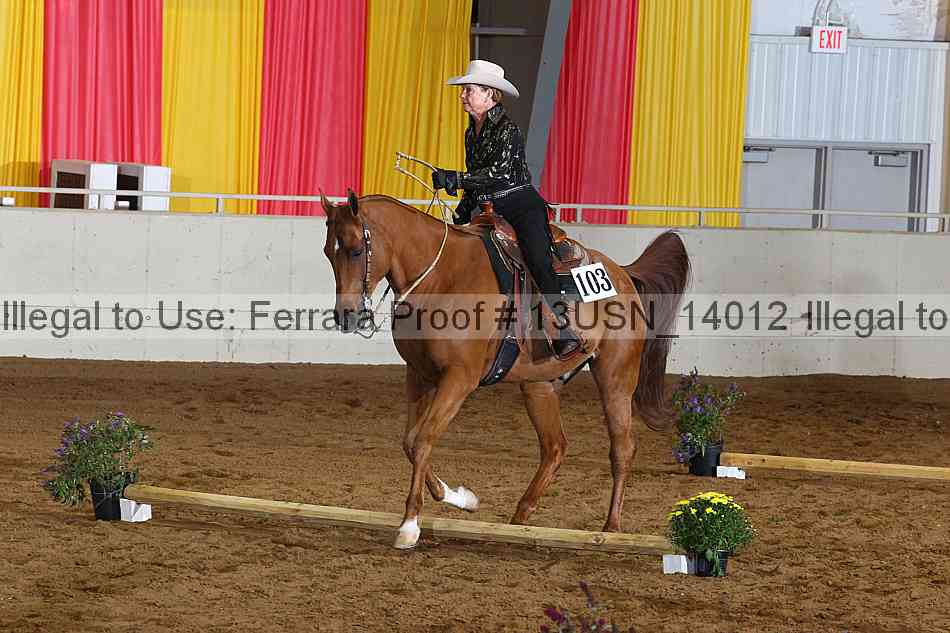 Proof Number 13usn_14012