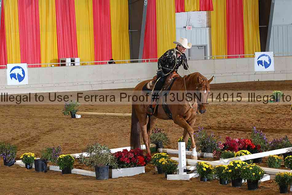 Proof Number 13usn_14015