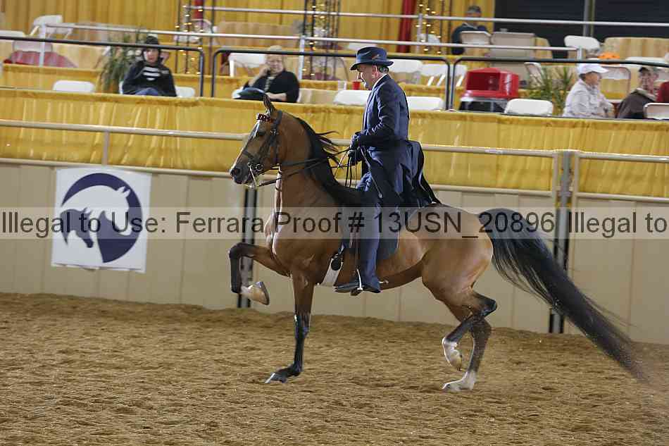 Proof Number 13usn_20896