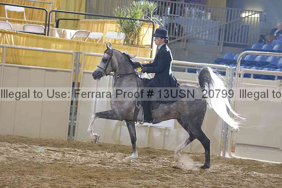 Proof Number 13usn_20799