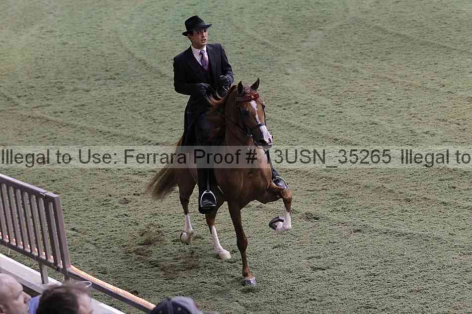 Proof Number 13usn_35265