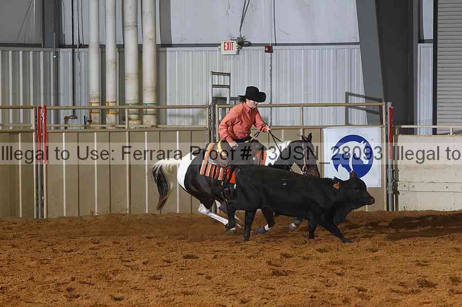 Proof Number 13usn_28093