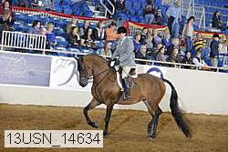13usn_14634 thumbnail
