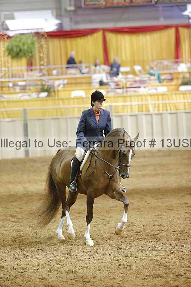 Proof Number 13usn_14638