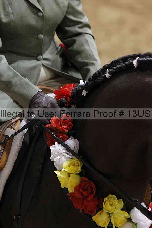 Proof Number 13usn_20022