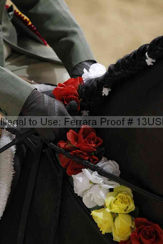 Proof Number 13usn_20023