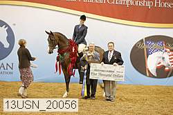 13usn_20056 thumbnail