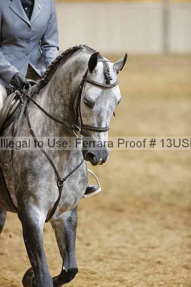 Proof Number 13usn_20102