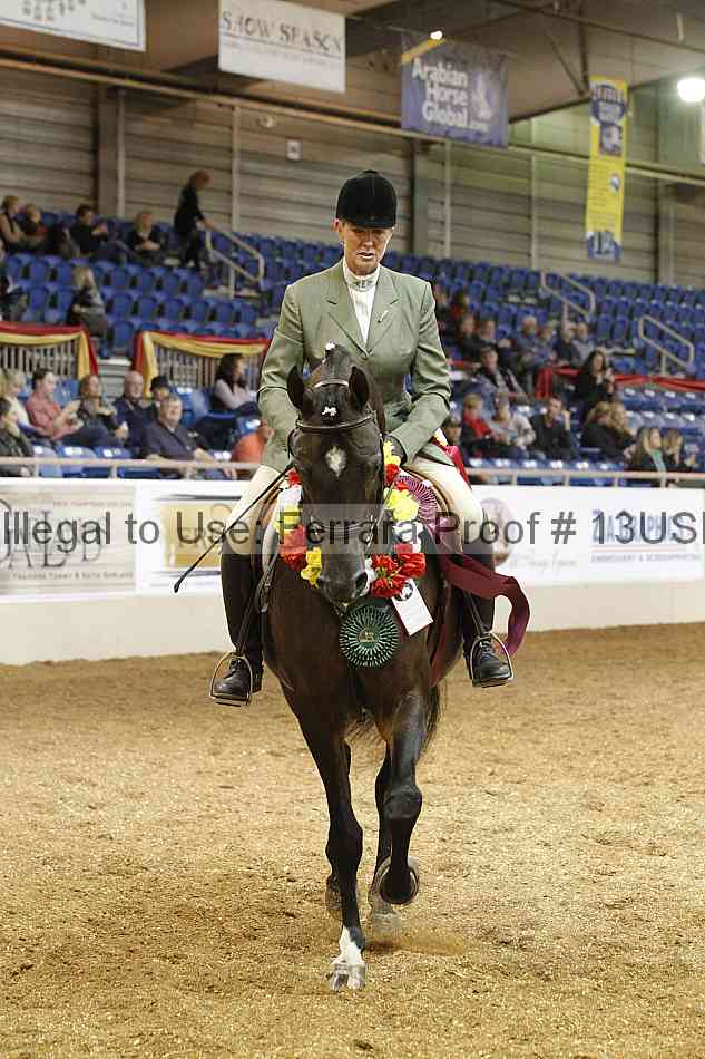 Proof Number 13usn_20123
