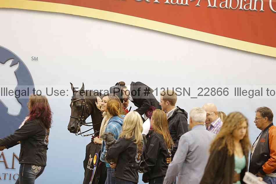 Proof Number 13usn_22866