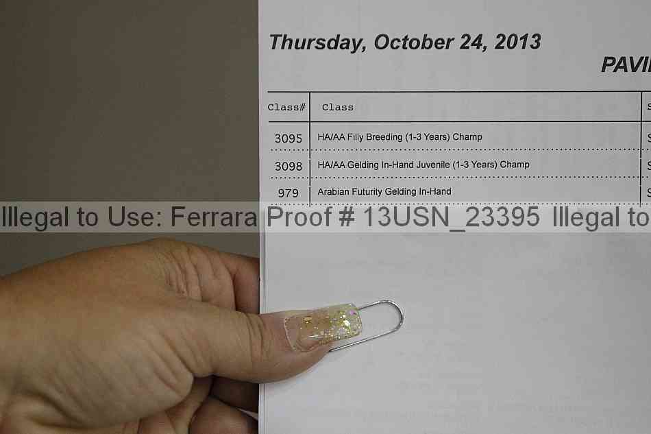 Proof Number 13usn_23395