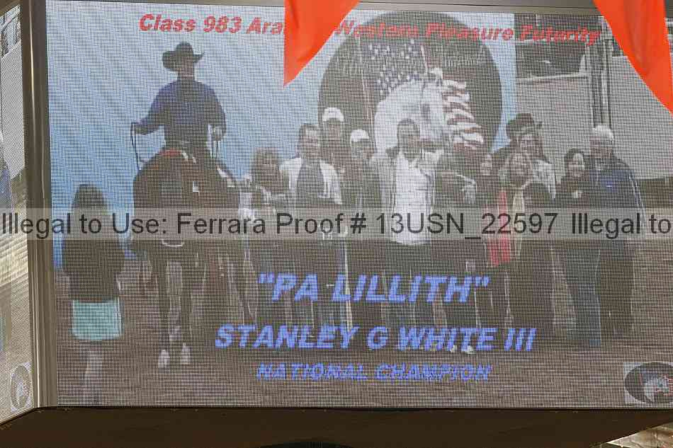 Proof Number 13usn_22597