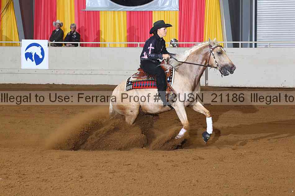 Proof Number 13usn_21186