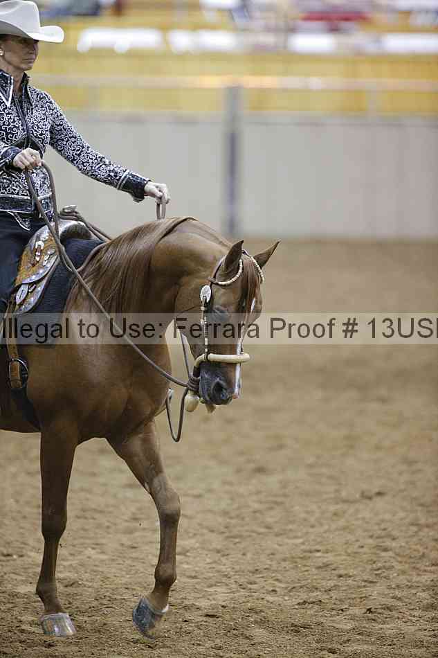 Proof Number 13usn_11175