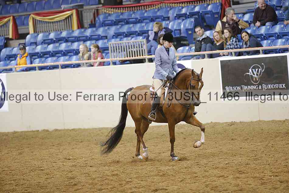 Proof Number 13usn_11466