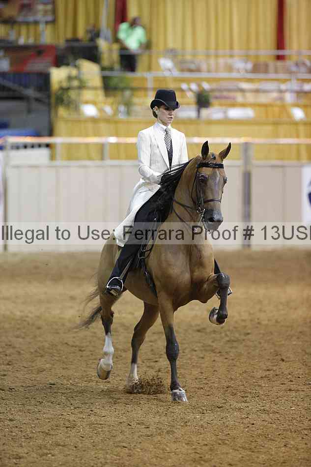 Proof Number 13usn_07709