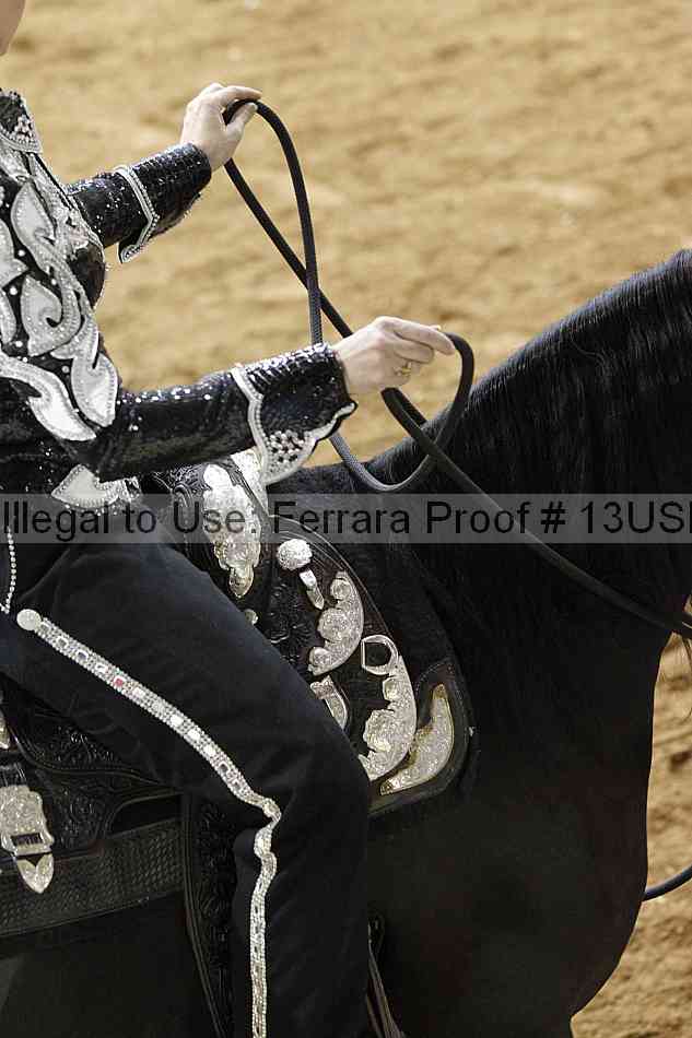 Proof Number 13usn_06852