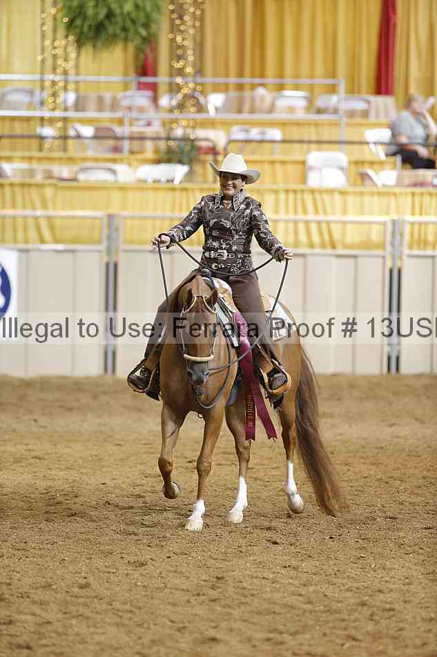 Proof Number 13usn_06946