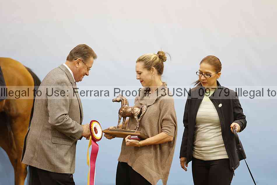 Proof Number 13usn_09779