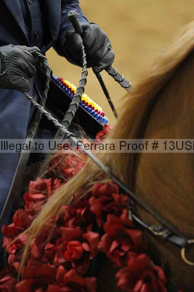 Proof Number 13usn_09835