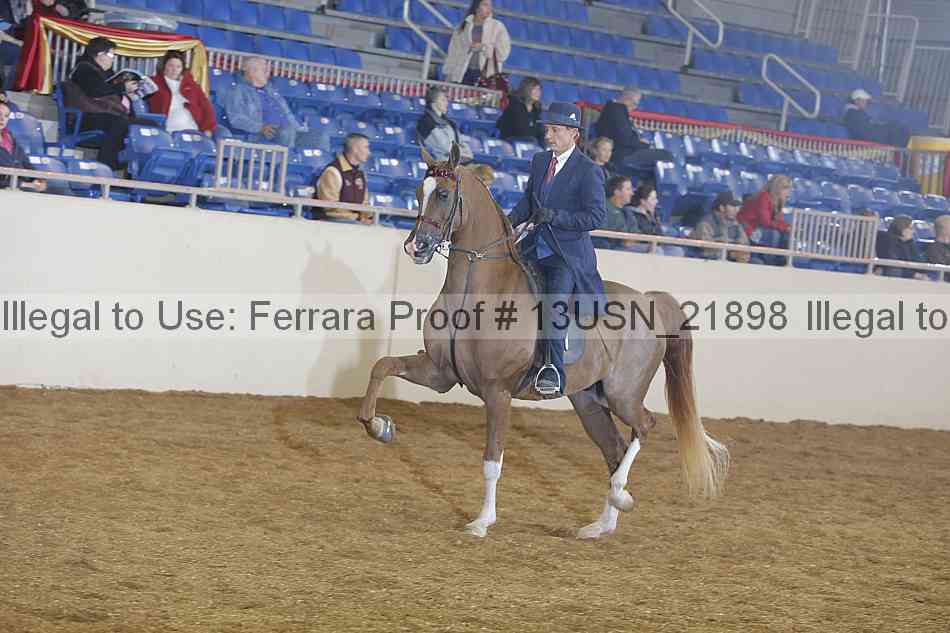 Proof Number 13usn_21898