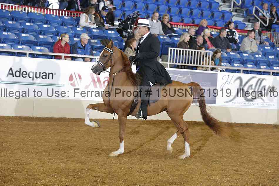 Proof Number 13usn_21919