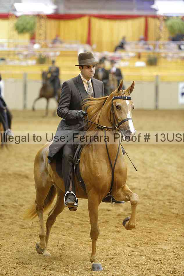 Proof Number 13usn_21926