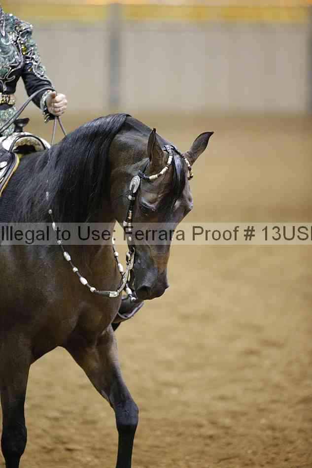 Proof Number 13usn_01123