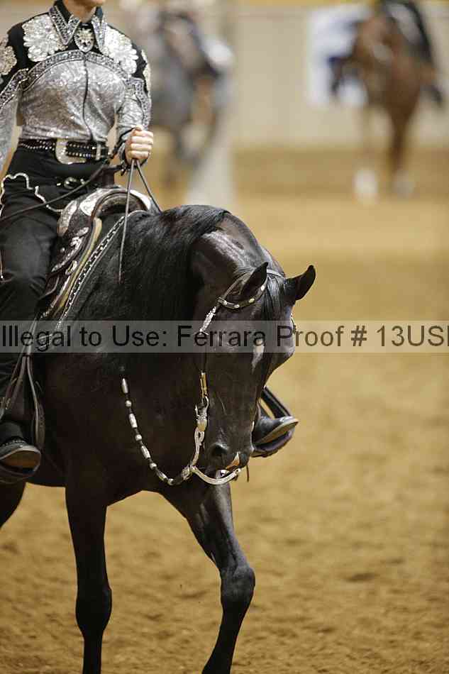 Proof Number 13usn_01128