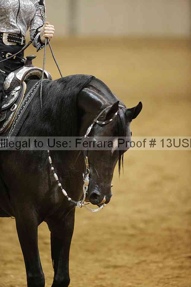 Proof Number 13usn_01129