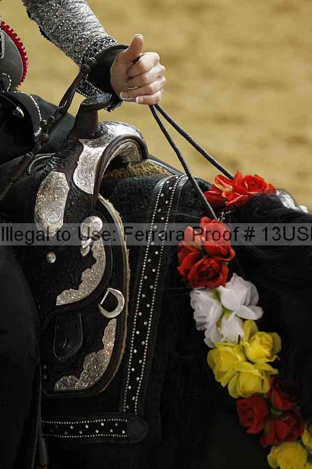 Proof Number 13usn_18135