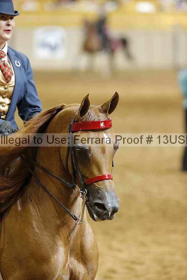 Proof Number 13usn_14871
