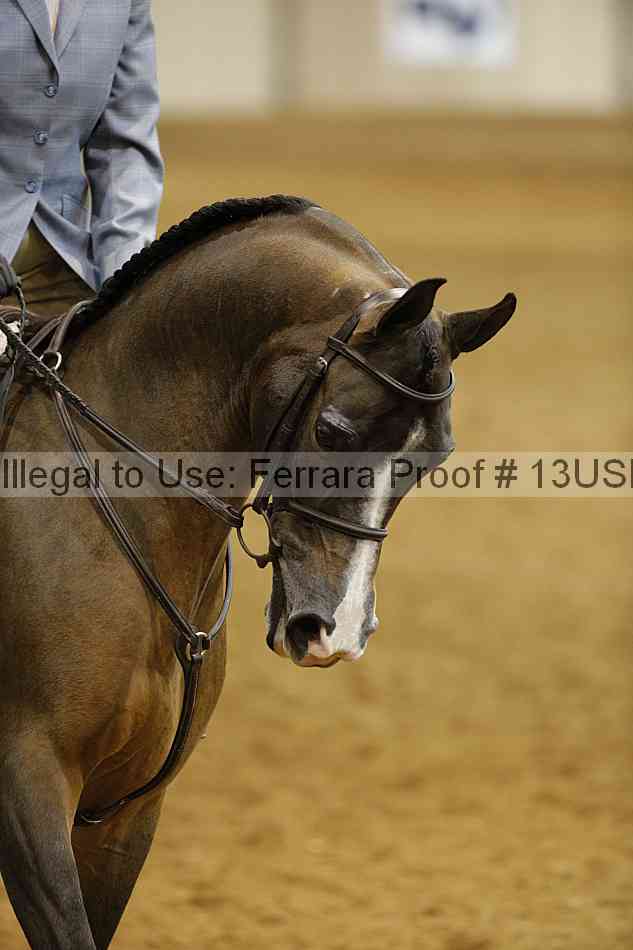 Proof Number 13usn_15200