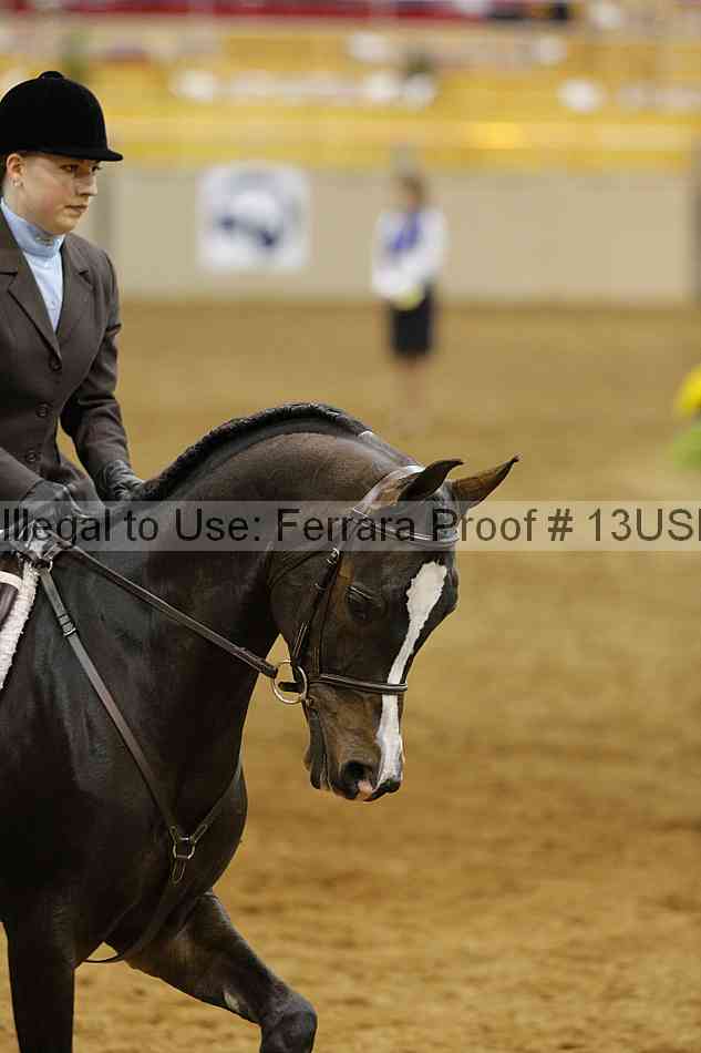 Proof Number 13usn_15351