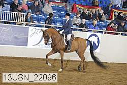 13usn_22096 thumbnail