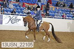 13usn_22105 thumbnail