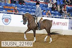 13usn_22169 thumbnail
