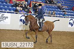 13usn_22173 thumbnail
